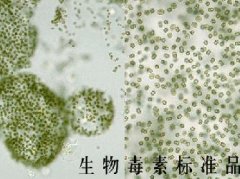 生物毒素类标准溶液-玉米赤霉烯酮-黄曲霉-微囊